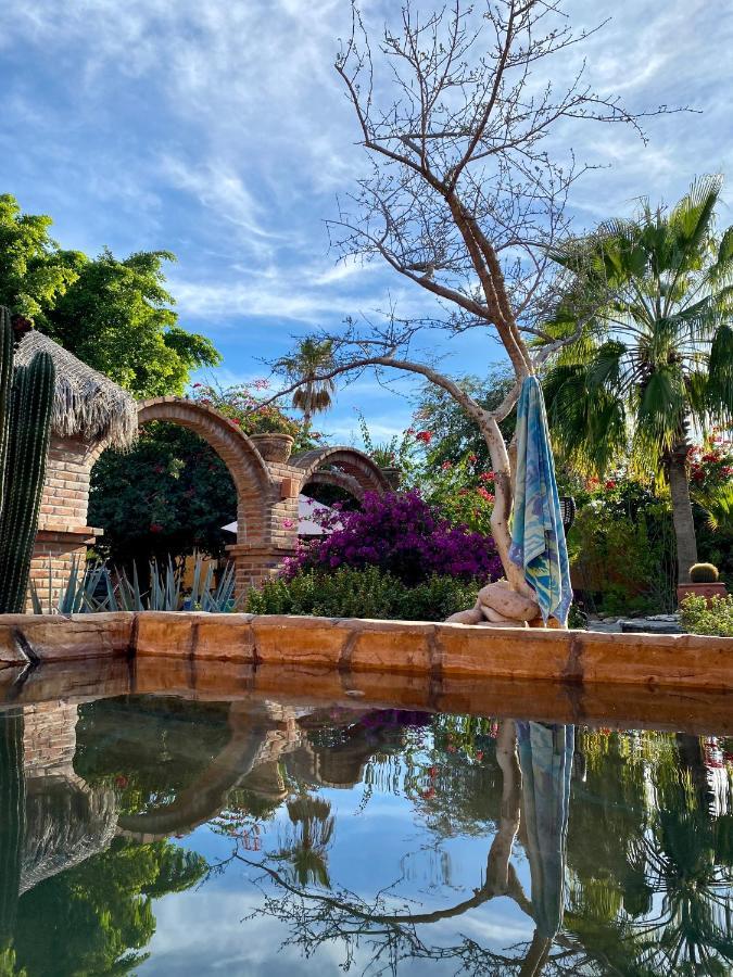Bed and Breakfast Casa Xochitl El Centenario Екстер'єр фото