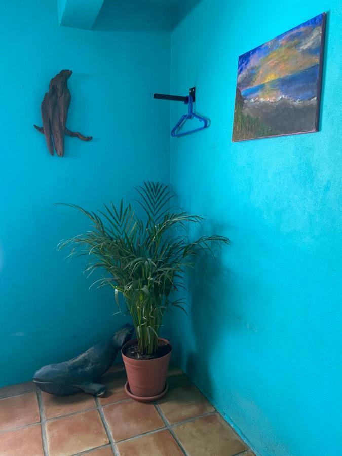 Bed and Breakfast Casa Xochitl El Centenario Екстер'єр фото